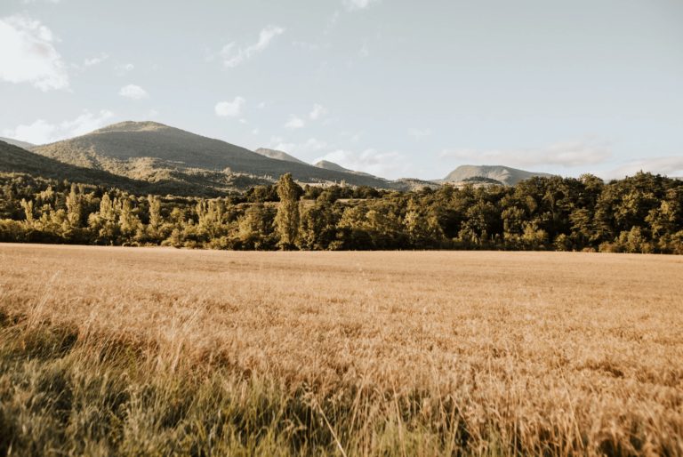 lieu nature mariage provence