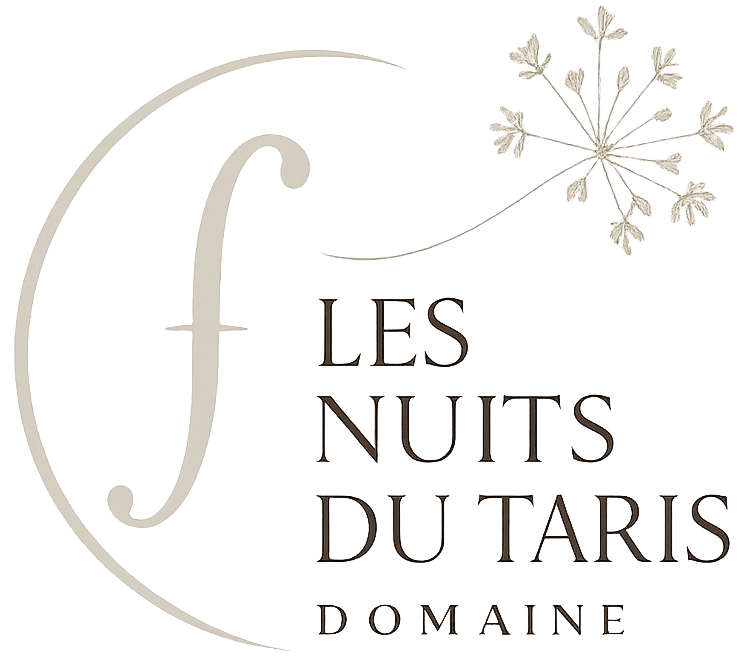 logo les nuits du taris gris