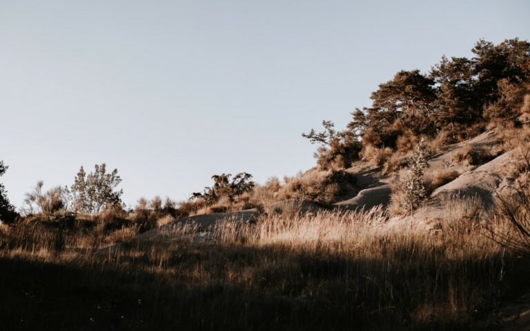 environnement nuits du taris marianne del 01