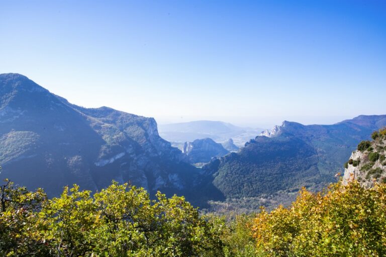 les alentours nuits du taris cecile cayon01