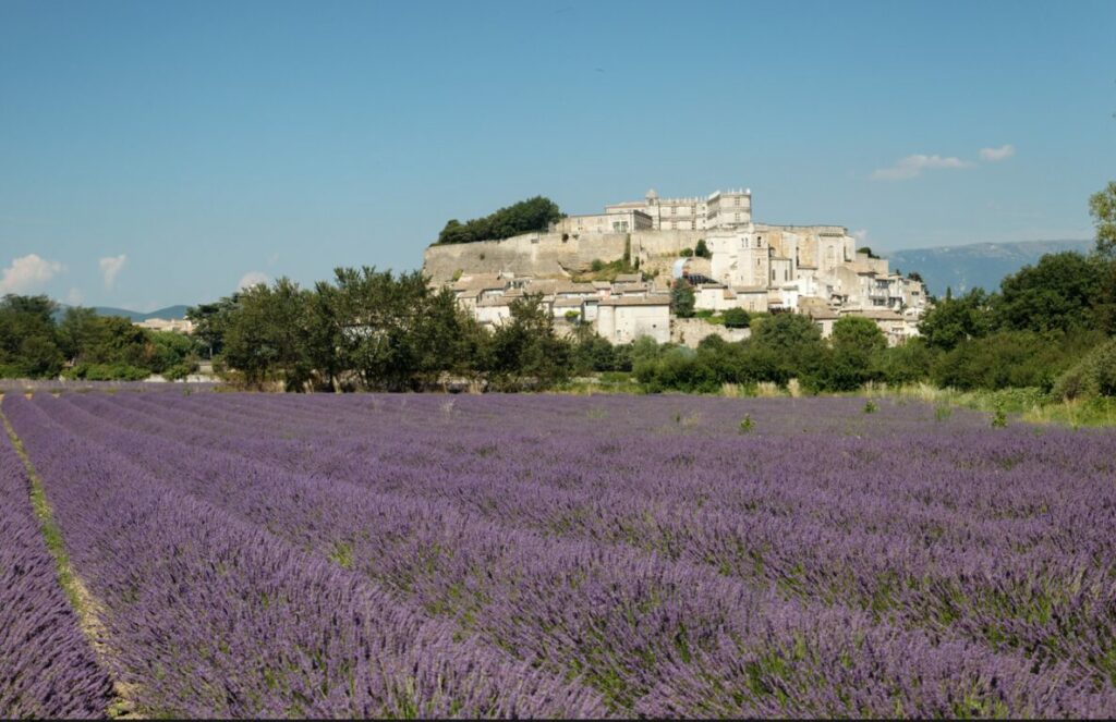 nature drome provencale nuits du taris01