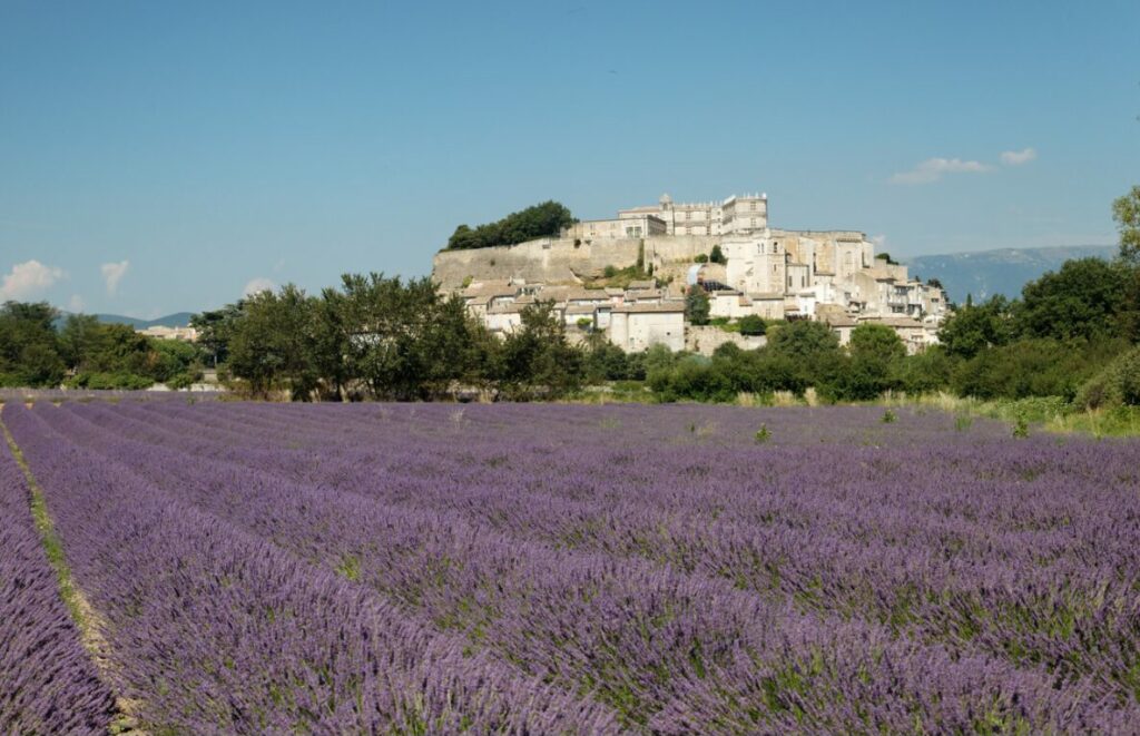 nature drome provencale nuits du taris01