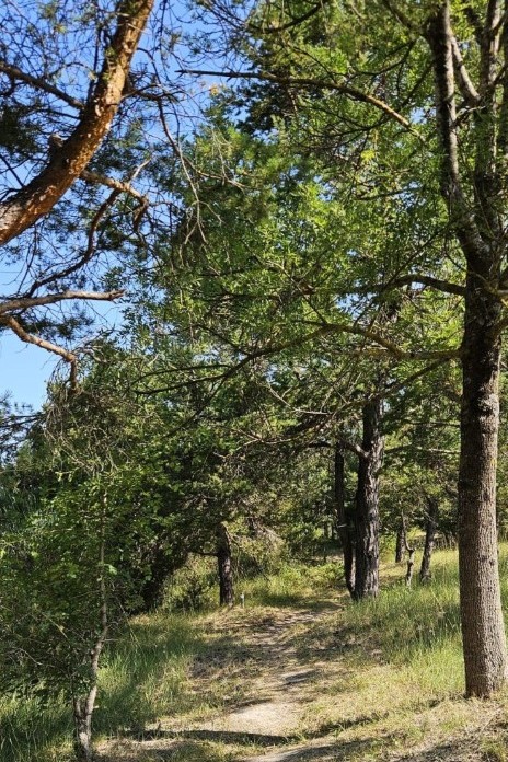 stages residences artistes provence nuits du taris 01