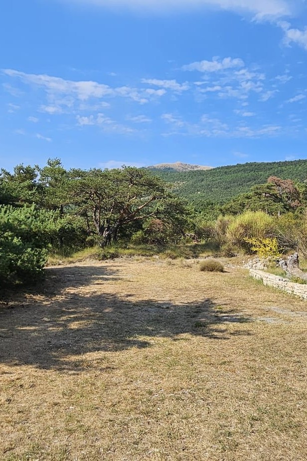 stages residences artistes provence nuits du taris07